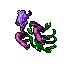 Boss Countess Sorrow