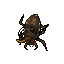 Mycobiontic Beetle