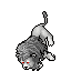 White Lion